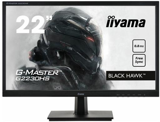 Iiyama G-Master